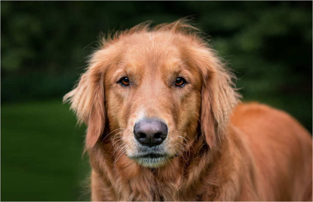 Asigned Subject In Class M By Cindy ONeil For Golden Eyes OCT-2018.jpg